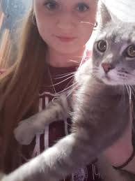 adopting a shelter cat with unique markings