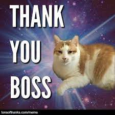 51 Nice Thank You Memes With Cats Thank You Memes Funny Memes Thank You Boss