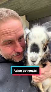 Curly Sue's little boy! Isn't he adorable! #fluffyfeatherfarm #fluff...