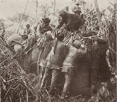 Tiger hunting in Nepal, 1912 stock ...
