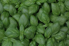 Die carotinoide lutein und zeaxanthin spielen eine wichtige rolle im stoffwechsel des auges. Lutein Zeaxanthin Lebensmittel Liste Lykon Blog