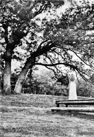 Profile for Anne Connor Photography