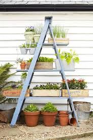 New modern plants have also entered the arena—ornamental grasses and garden varieties of american natives, such as rudbeckia. 16 Container Gardening Ideas Potted Plant Ideas We Love