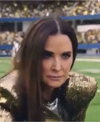 Teresa Giudice Super Bowl Commercial