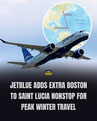 Image result for Commercial Blue 1995 Fleet