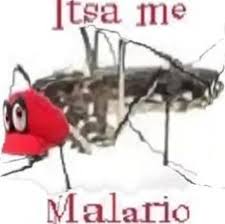 Open iphoto on your device. 100 Things To Airdrop In Class Ideas Funny Memes Reaction Pictures Stupid Memes