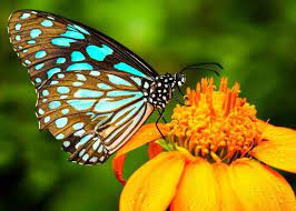 Pin En Actualidad Ambiental