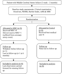 Cortex imaging are a multimedia production company providing solutions to all aspects of visual media. The Effects Of Intravenous Infusion Of Autologous Mesenchymal Stromal Cells In Patients With Subacute Middle Cerebral Artery Infarct A Phase 2 Randomized Controlled Trial On Safety Tolerability And Efficacy Cytotherapy