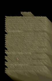 Image result for Pycreus cuanzensis