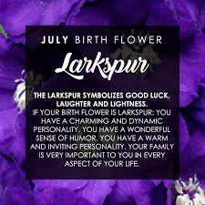 We did not find results for: Happy Birth Month July Shefalitayal