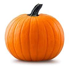 Warm soil means happy pumpkins, and the optimum soil temperature for this crop is 95 degrees fahrenheit. Amazon Com 20 Big Max Pumpkin Seeds For Planting Grows Big Giant Pumpkins Up To 100 Lbs Heirloom Non Gmo Vegetable Seeds For Planting Grown For Pies And Halloween Jack O