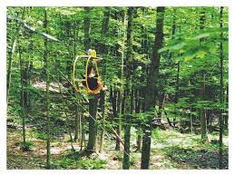 Une Randonnee Tu Pourras T Emerveiller Devant Les Montagnes Et Les Differentes Couleurs Du Paysage La Plus Belle Vue De La Riviere In 2020 Audi Audi Suv Audi Quattro