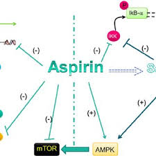 Antikoagulantien pass pdf | antikoagulantien sind arzneistoffe, die die blutgerinnung verlangsamen. Pdf Mechanistic And Pharmacological Issues Of Aspirin As An Anticancer Agent