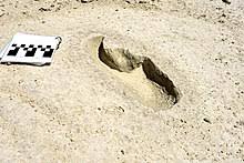 White sands national monument is located just 13 miles outside of the small town of alamogordo and 50 miles from the city of las cruces. White Sands National Park Wikipedia