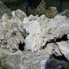 Desain aquarium air tawar model terbaik 44 jenis ikan hias air laut hias aquarium cantik. Batu Pasir Aquarium Aquascape Batu Tebing Batu Hiasan Aquarium Shopee Indonesia