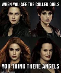 Pin By Green Blue On Twilight Twilight Funny Twilight Pictures Twilight Memes