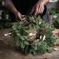 Wreath Making & Afternoon Tea event image