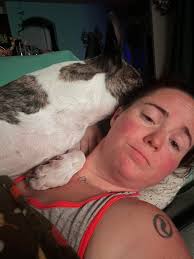 The difference between before and after neutering surgery