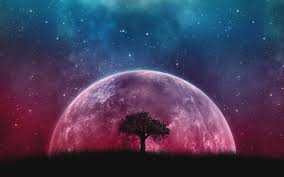 Moon wallpapers, backgrounds, images 3840x2160— best moon desktop wallpaper sort wallpapers by: Moon Night Sky Stars Landscape Scenery 8k Wallpaper 189