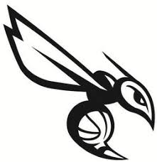 Large collections of hd transparent hornet png images for free download. Love It Or Leave It New Charlotte Hornets Logo Erik M Pelton Associates Pllc