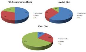 keto diet pie chart cyclical ketogenic diet ketogenic