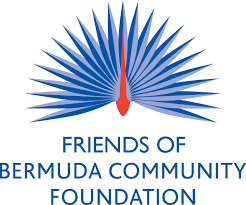 Deduction under section 16(ia) states that a taxpayer having income chargeable under the head 'salaries' shall be allowed a deduction of rs. Givebermuda