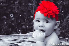 Amanda Schell Photography