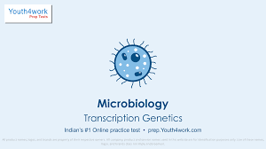 Earn money online is wish of everyone and if you want to earn money online with transcription job? Transcription Genetics Microbiology Practice Test