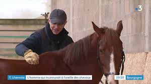 Il a un don avec les chevaux. Cluny Thierry Lhermitte L Homme Qui Murmurait A L Oreille Des Chevaux
