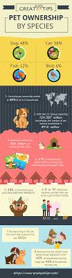 Infographic Of Pet Ownership Statistics By Species Pet Ownership Dog Birthday Presents Pets