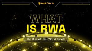 现实世界资产 (RWA)