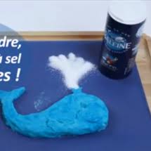 Check spelling or type a new query. Page D Accueil La Baleine