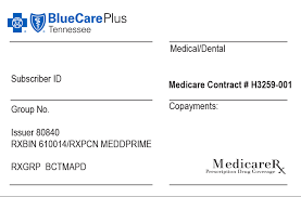 If you have any other insurance, like medicare or a private insurance plan, your other plans will pay before medicaid. Bluecare Plus Dsnp Bcbs Of Tennessee
