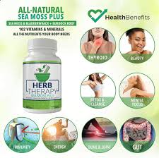 Sea Moss Bladderwrack Burdock Root Health Benefits Eat Algae