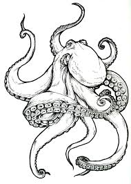 Tattoo Design Das Ich Fur Einen Freund Gemacht Habe Das Design Einen Freund Fur Gemacht Habe Ich Kraken Skizze Krake Tattoo Design Kraken Tatowierung