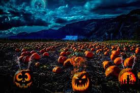 Other top treats included reese's peanut butter cups, kit kat and butterfinger — the only candies to receive votes in all 50 states. Halloween Displays Around Chilliwack Are Always A Treat Chilliwack Progress