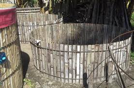 Meraup Untung Dari Si Kumis Steemit