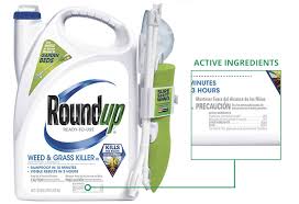 Dealing with rodents in the home. A Guide To Hazardous Lawn Care Chemicals Lawnstarter
