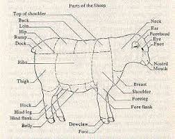 Chart Showing The Parts Of A Sheep Information By Treasure