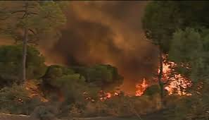 Atividade de scie na anepc; Algarve Tem 7 Concelhos Em Risco Maximo De Incendio Ipma