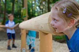 forest adventure trails at the skywalk allgäu in Germany by pronatour