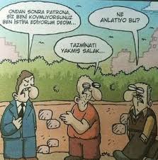 Hulyaca Yorumlar Istifa Edene Issizlik Maasi Geliyor Karikatur Kedi Esprileri Komik Hayvan Fotograflari