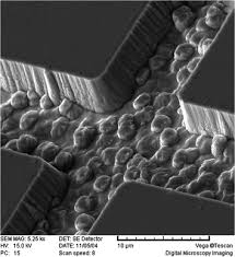 Many components of the control panel such as sensors and motion detectors operate on battery power. Hgcdte Detector Chip Technology Springerlink