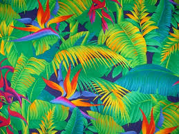 Tropical Birds Of Paradise Wallpaper Les 62 Meilleures Images A Propos De Ete Sur Pinterest Fenetre Tropical Print Wallpaper Tropical Prints Pattern Paradise Wallpaper