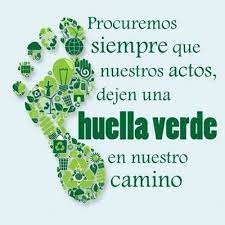 Día mundial del medio ambiente: Emy Saldungaray Emilce Saldungaray Perfil Pinterest