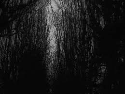 Black And White Vintage Gif Find Share On Giphy Creepy Gif Surreal Artwork Creepy Vintage Share the best gifs now >>>. black and white vintage gif find