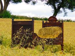 Ein bett im kornfeld, das ist immer frei, denn es ist sommer und was ist schon dabei? Bett Kornfeld Im Kostenloses Foto Auf Pixabay