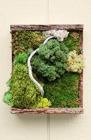See more ideas about moss art, moss, moss garden. Diy Moss Wall Art Brings Nature Indoors Better Homes Gardens