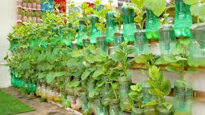 With a vertical vegetable garden, all you need is a little imagination. Growing Vegetables At Home With Automatic Watering Vertical Vegetable Garden Ideas Youtube