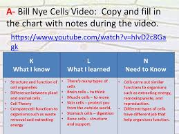 write to learn plant vs animal cells complete write to